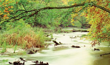 Warnow-Durchbruchstal im Naturpark Sternberger Seenland, Flusslauf im Herbst, Foto: TMV/Neumann