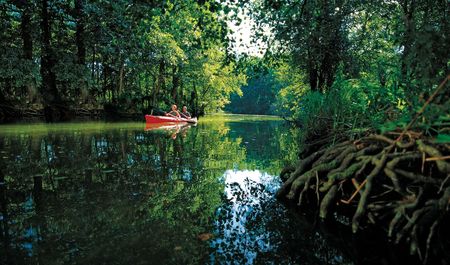 Paar fährt im roten Kanu auf Peene, Bäume am Ufer, spiegeln sich im Wasser, im Vordergrund Wurzeln, Foto: TMV/Werk 3