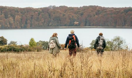 drei Wanderer mit Rucksack am Schmalen Luzin, herbstlich verfärbte Bäume, Feldberger Seenlandschaft, Foto: TMV/Roth